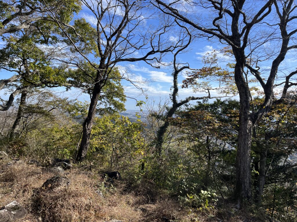 太白山山頂からの仙台市内の景色